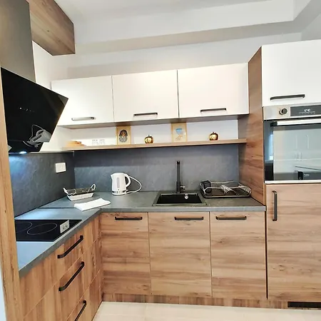 Velika Recepcija 138 Apartment Zlatibor